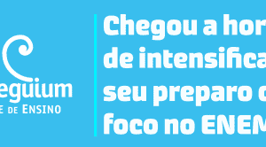 Rede de Ensino coleguium